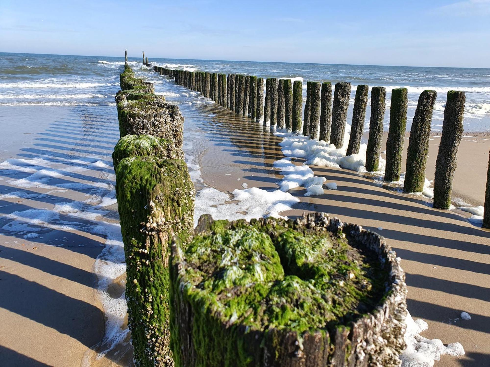 Studio Aan Zee Oostkapelle Zimmer foto